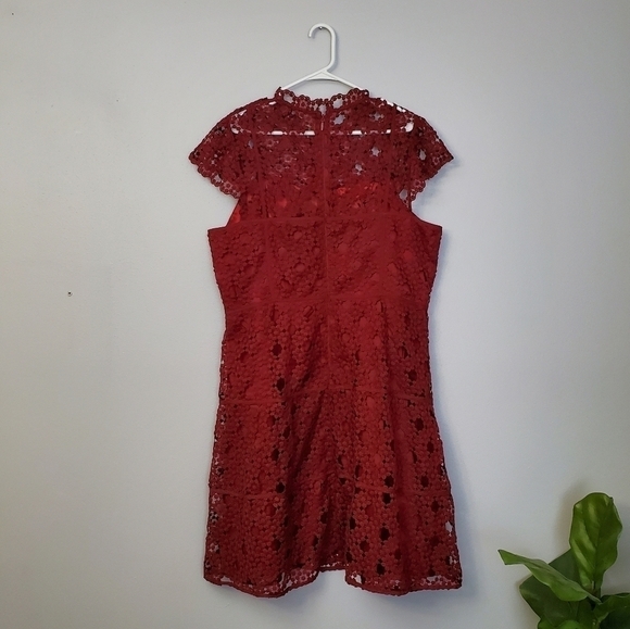 City Chic Lovey Lace dress - Picture 4 of 5